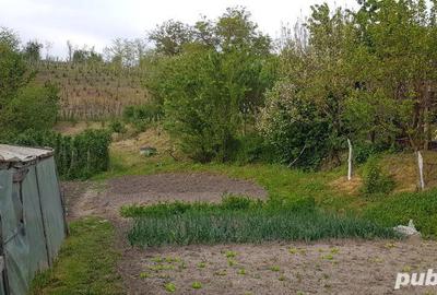 Casă în Orevița Mare - 5