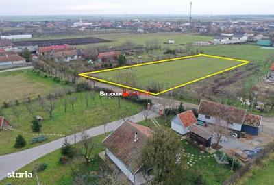 Spațiu comercial, în Leș - 4