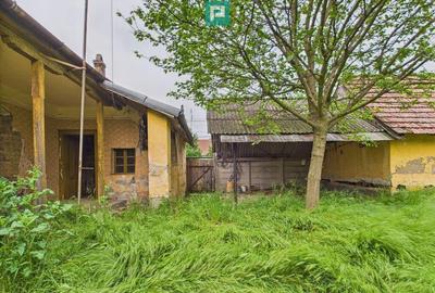 Casă cu 3 camere cu Teren 1547 Mp în Variaș - 14