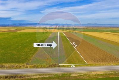 Teren 10,000mp Tarlungeni - 2