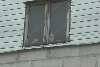 Casă cu 5 camere cu Teren 2100 Mp în Ordoreanu - 16