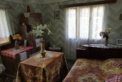 Casa si teren la Provita de Jos - 7