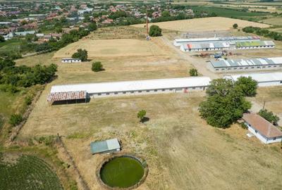 Spațiu comercial, de 100,000 mp, în Centura - 9