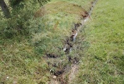 Teren agricol extravilan de 14318 mp, în Panaci - 7