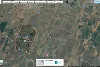 Teren extravilan Pogoanele, ID: R2586845 - 7