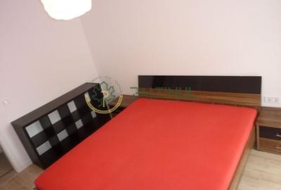 Apartament cu 2 camere decomandat, mobilat în Calea Poplăcii - 5