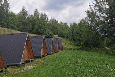 Casă cu 4 camere în Horea - 1