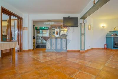 Hotel/Pensiune, de 2,950 mp, în Pănicel - 13