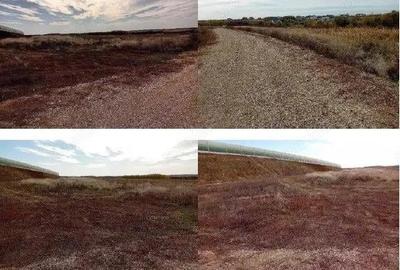 Teren extravilan Albota cota parte 3/8 . ID: R2832826 - 3