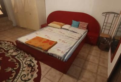 Sagului-Piata Doina,Cu Centrala,Mobilat Mediu,Etajul 1,De Vazut-250 E-Liber Acum - 8