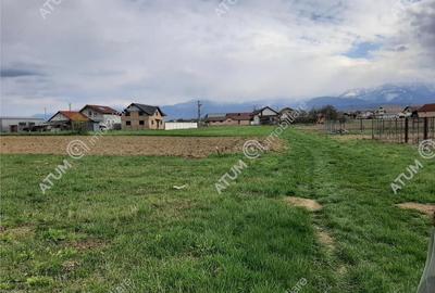 Eren intravilan 1400 mp de pe Valea Avrigului - 3