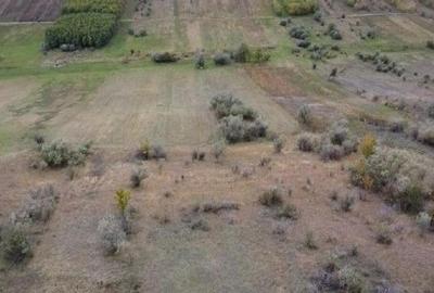 Teren extravilan Perieni, cota parte 6/16 , ID: R2822105 - 4