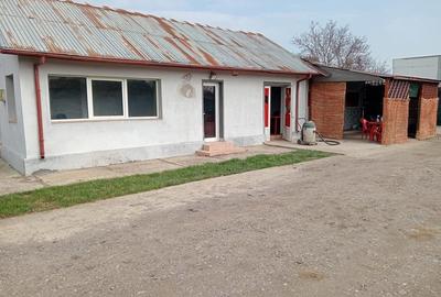 Teren de 2200 mp, în Lipia - 3