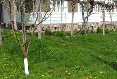 Vand casa loc.Stefan cel Mare Vand casa loc.Stefan cel Mare - 7