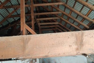 Casă individuală cu 3 camere cu Teren 274 Mp în Lumina - 11