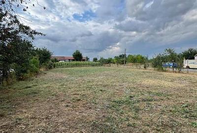 Casă individuală cu 5 camere cu Teren 1518 Mp în Cheresig - 12