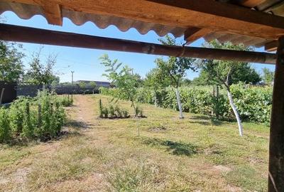 Casă cu 3 camere în Central - 4