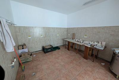Spațiu comercial, de 40 mp, în Traian - 8