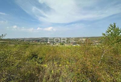 Teren de 1665 mp, în Dealuri Oradea - 11