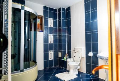 Investitie - vanzare vila deosebita, zona Fundeni - Dobroesti - 32