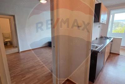 Apartament de vanzare - str. Govora, Medias - 17