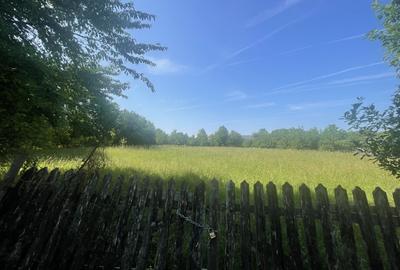 Teren Construcții intravilan de 1559 mp, în Brebu Mânăstirei - 3