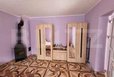 Casa individuala,65 mp,1150 mp teren,Valisoara - 2