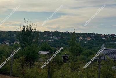 Teren Construcții intravilan de 800 mp, în Roșia