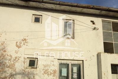 Casă cu Teren 825 Mp în Lăpușnicu Mare - 5