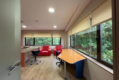 Spatii, vad, birouri, medical, hala, teren, de la 25mp la 500mp, zona ISU Copou - 24