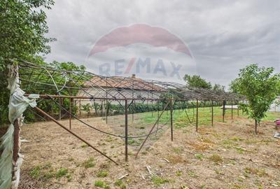 De vanzare | Casa batraneasca + teren in com. Comana, Jud. Girgiu - 16