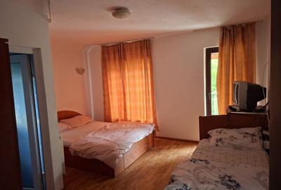 Casă individuală cu 10 camere cu Canalizare în Bercu Roșu - 13