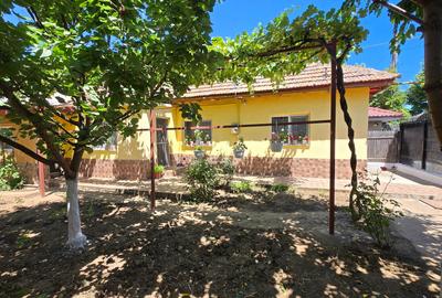 Casă individuală cu 5 camere cu Canalizare în Coiciu - 18