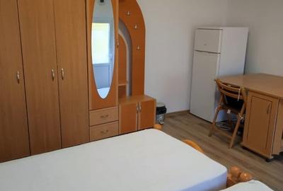 Garsonieră decomandată în Drumul Poienii - 4
