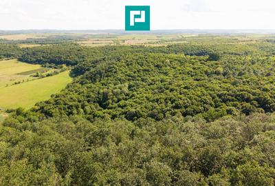 Teren agricol extravilan de 22900 mp, în Exterior Sud - 9
