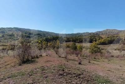 Teren de 7382 mp, în Central - 9