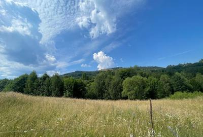 Teren intravilan I Loc deosebit, inconjurat de padure I Vladeasa - 3