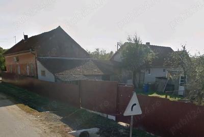 Casă cu Teren 2017 Mp în Sacoșu Mare - 2