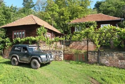 Casă cu 4 camere în Pui - 4