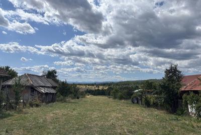 Teren de 5100 mp, în Valea - 3