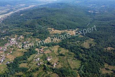 Teren de vanzare in comuna Baicule?ti, sat Valea lui Enache, jude? Arge?. - 2