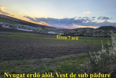Teren de 700 mp, în Budiu Mic - 5