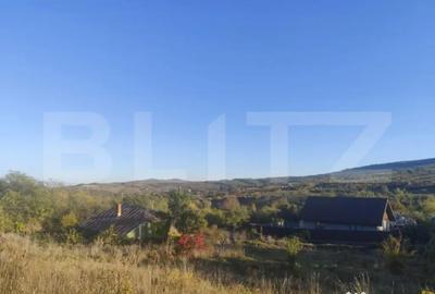 Teren de 2700 mp, în Tomești - 2