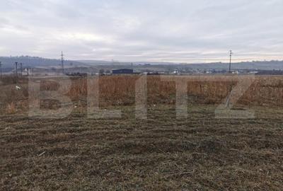 Teren de 5900 mp, în Pătrăuți - 3