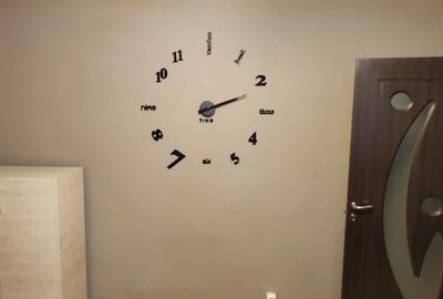 Apartament cu 2 camere semidecomandat, mobilat în Șagului - 10