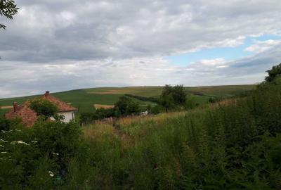 Spațiu comercial, în Rediu - 1