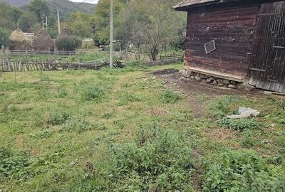 Teren de 800 mp, în Ocolișel - 2