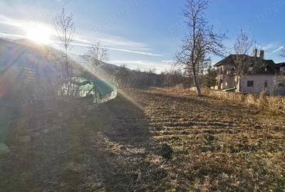 Casă cu 3 camere în Hobița - 7