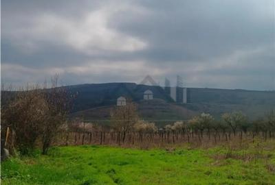 Teren în Dorobanț - 2