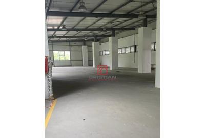 Depozit/hala/spatiu industrial Giurgiului-Progresul - 4